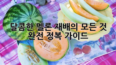 달콤한 멜론 재배의 모든 것! 완전 정복 가이드