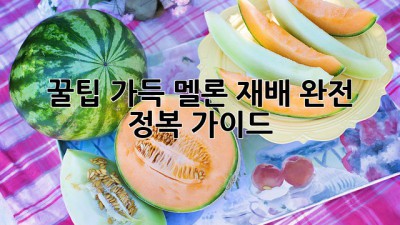 꿀팁 가득! 멜론 재배 완전 정복 가이드