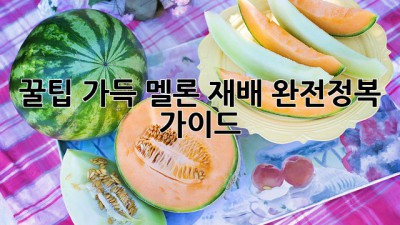 꿀팁 가득! 멜론 재배 완전정복 가이드